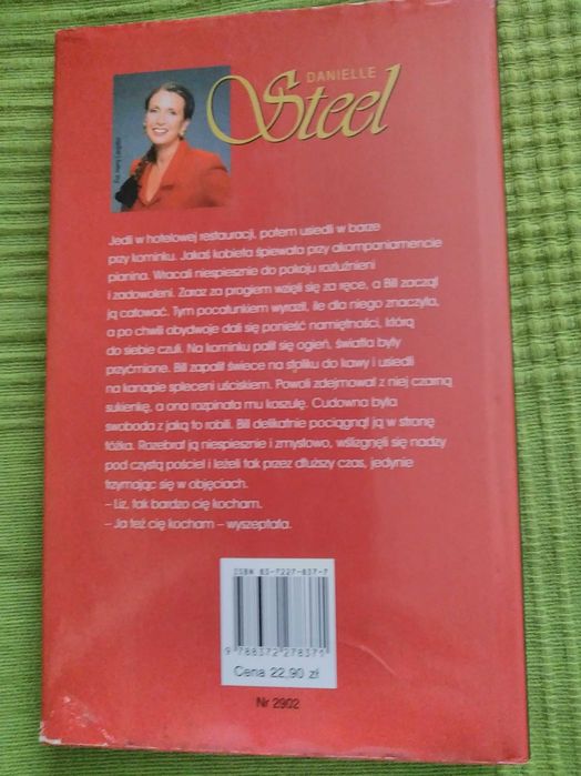 Danielle Steel Dom przy Hope Street
