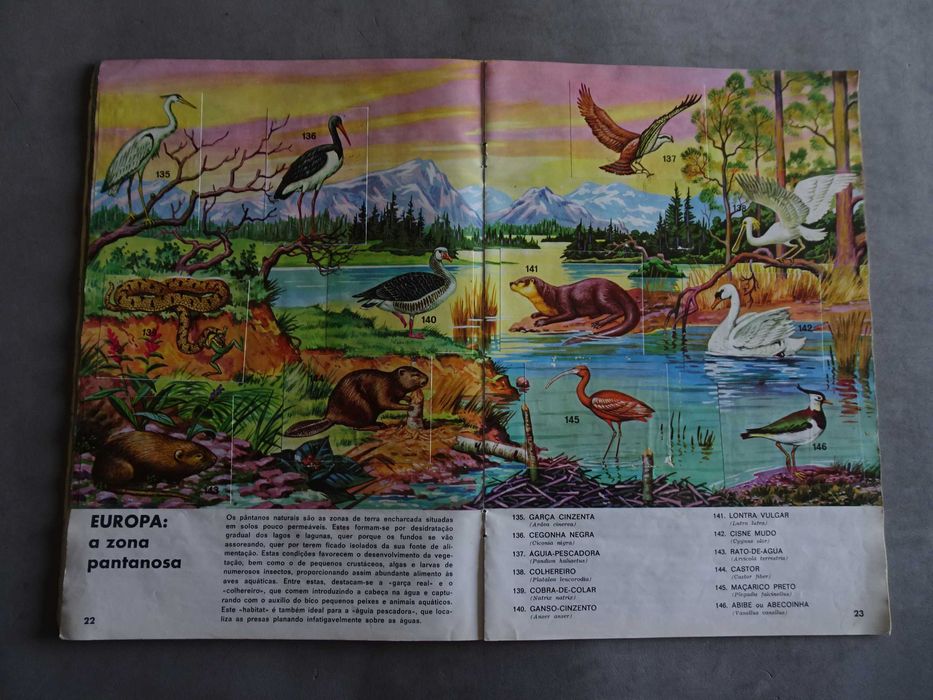 Caderneta de cromos Zoo Cor Os animais mundo inteiro (faltam 3 cromos)