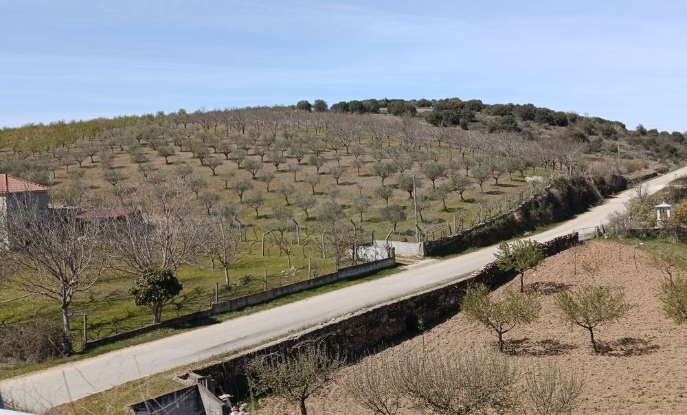 10 Hectares (100.000m2)  Terreno Agrícola Duas Igrejas Miranda do Douro, bem localizado, água e com maquinaria agrícola