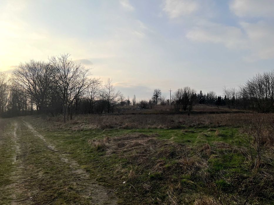 Działka na sprzedaż Drzeniów 87/1   3678 m²  gm. Cybinka