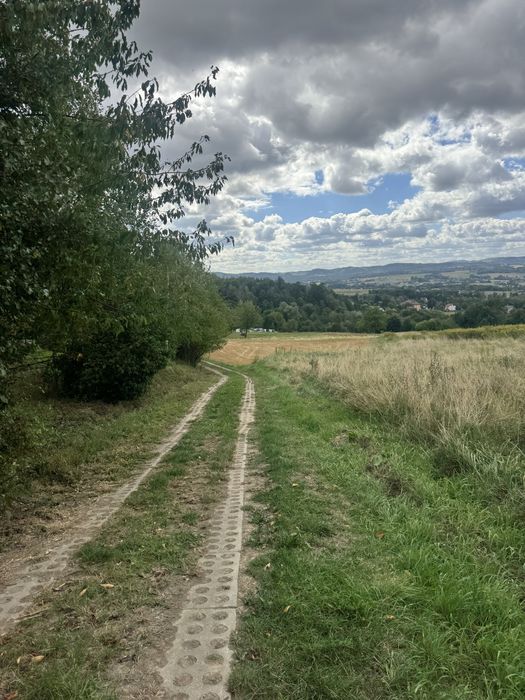 Działka rolna 0,47 hektara - Widok 4
