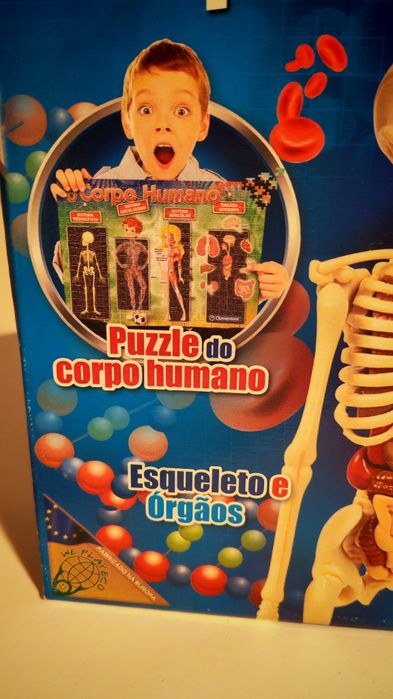 Puzzle Corpo humano