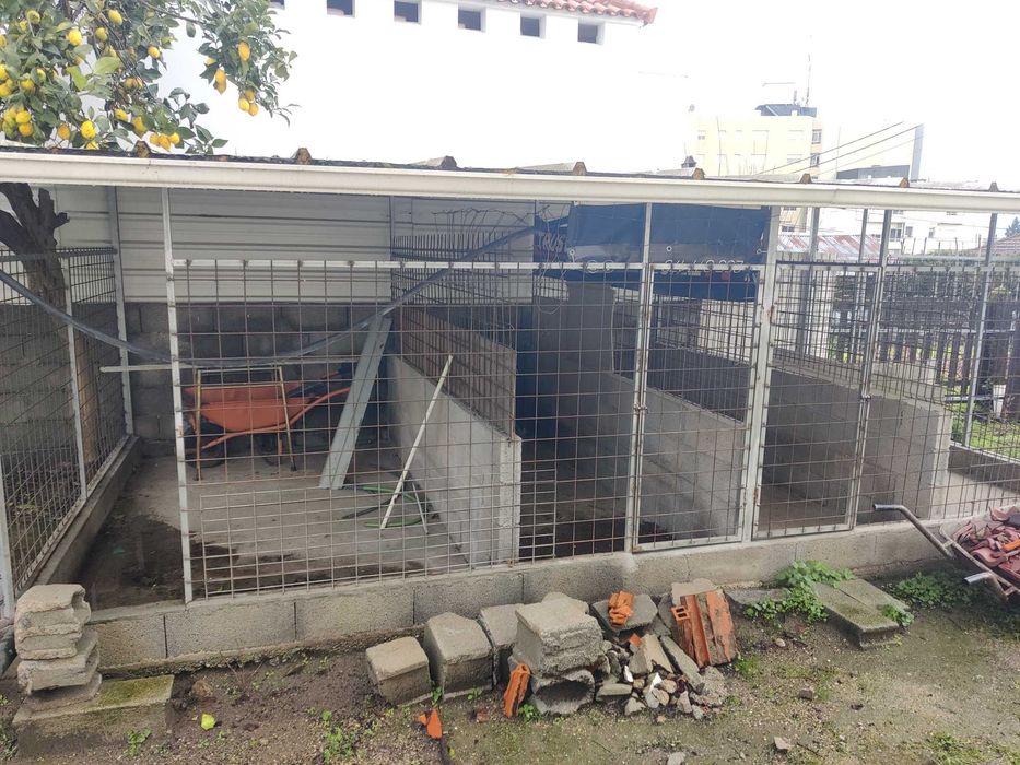 Canil Exterior Grande (3x6m) - Estrutura Metálica com Base Cimento