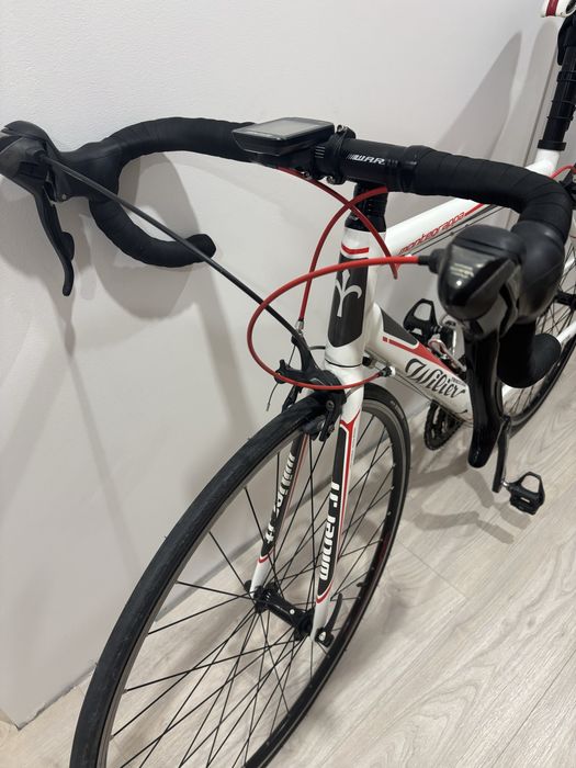 Rower szosowy Wilier Trestina