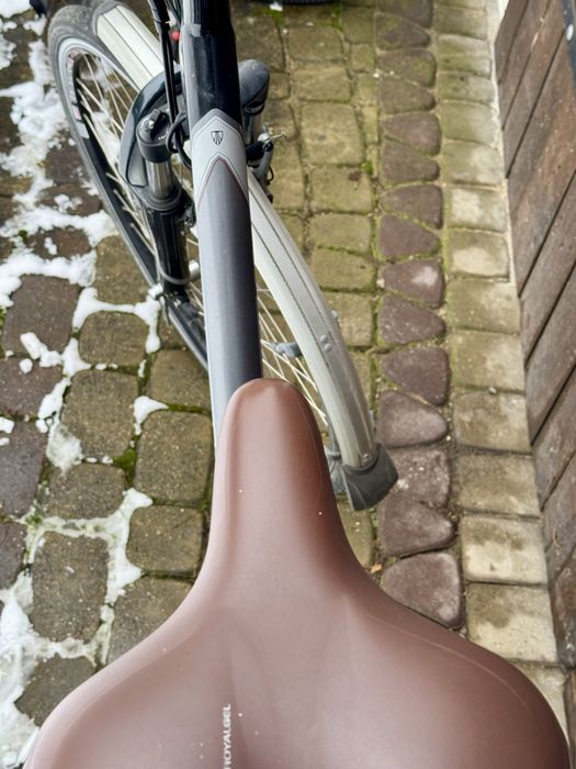 Rower elektryczny Trek + dodatki