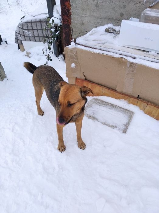 Жуля шукає родину