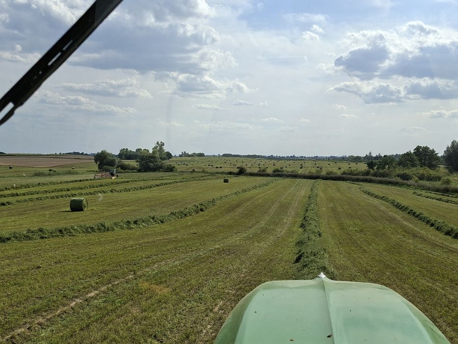 Sianokiszonka z lucerny