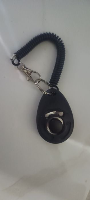 Клікер для дресирування собак