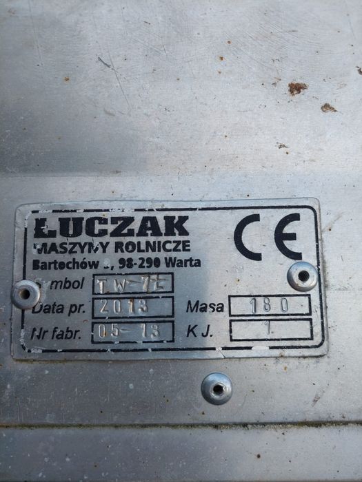 Podajnik taśmociąg do zbioru warzyw kapusty Łuczak