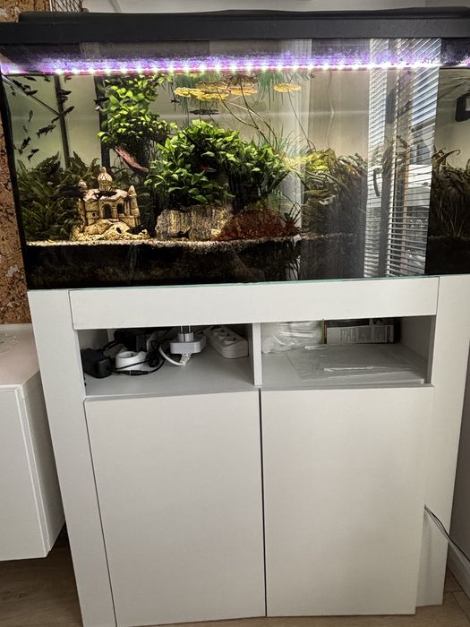 Akwarium 112l z szafka