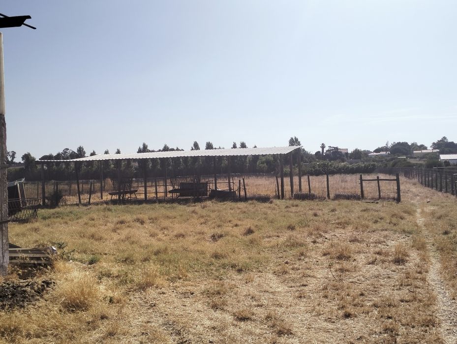 Alugar terreno com armazens