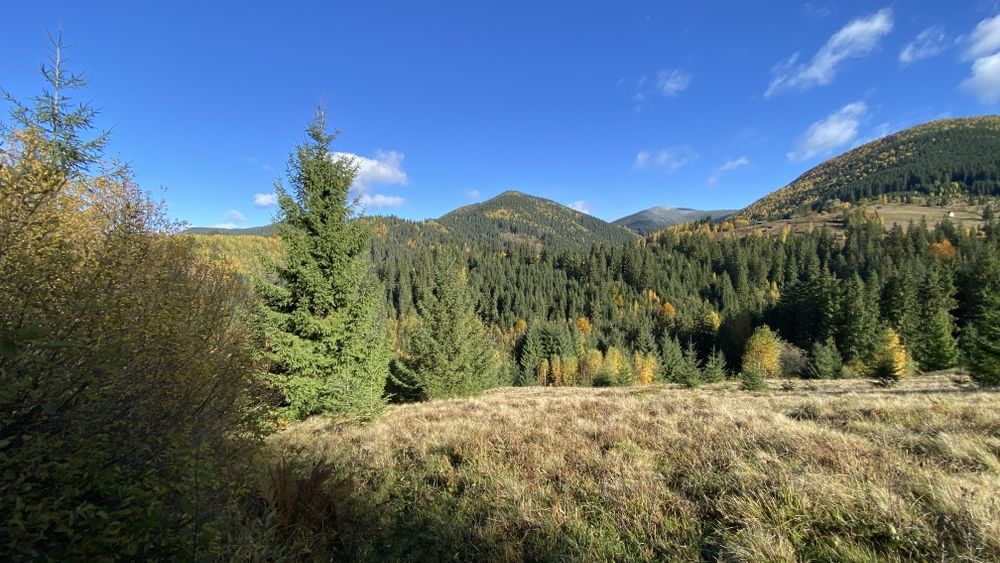 Земля під будову, межує з лісом, гарний доїзд