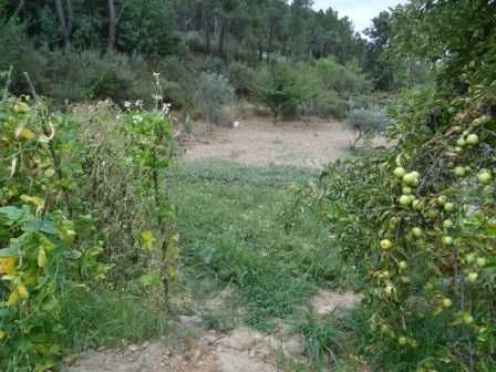 Prédio rústico (terreno) 2,4 hectares à beira da estrada