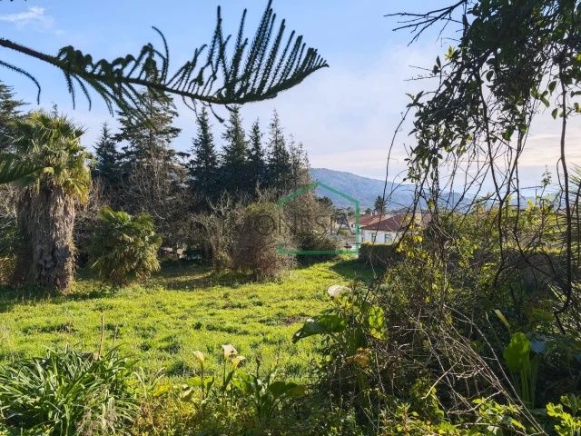Quintinha em Riba de Âncora, com casa em pedra para recuperar .