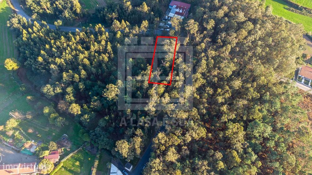 Lote com projeto aprovado para armazém em Cucujães