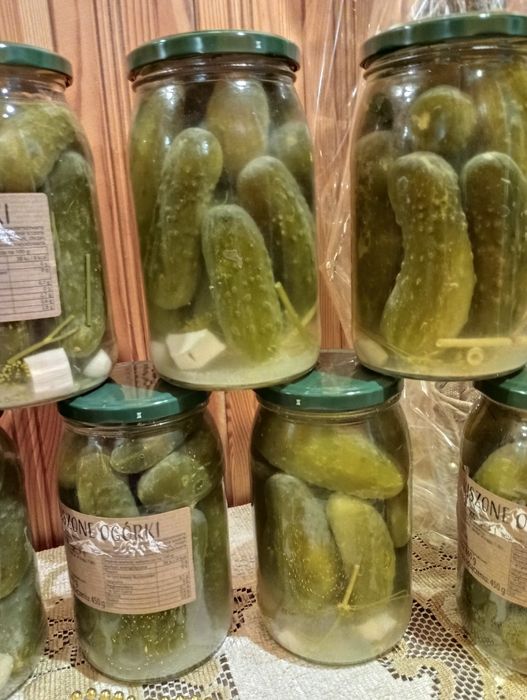 11*ogórki kiszone+12sty gratis, link do użycia