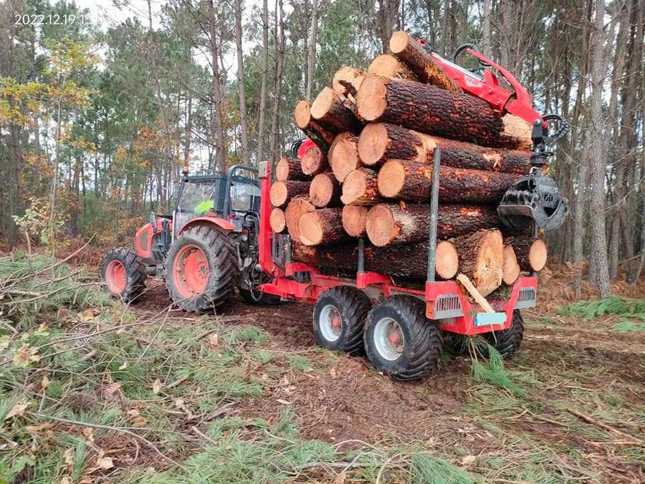 Reboque florestal 8000 kg com grua florestal 5 mt , NOVO