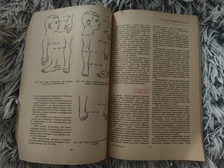 Справочник по массажу Васичкин