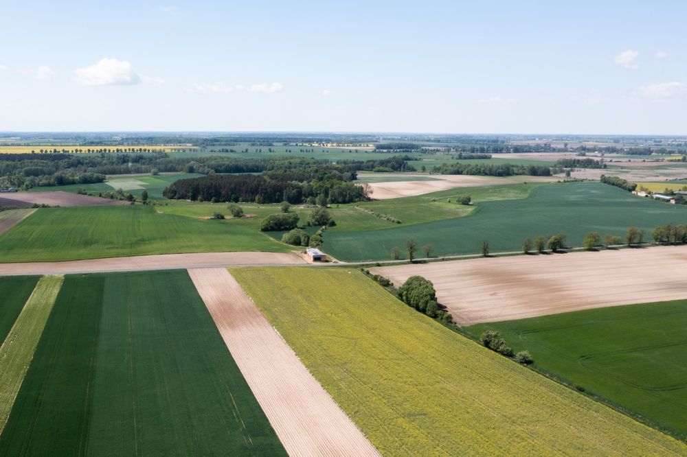Sprzedam 3000 m²