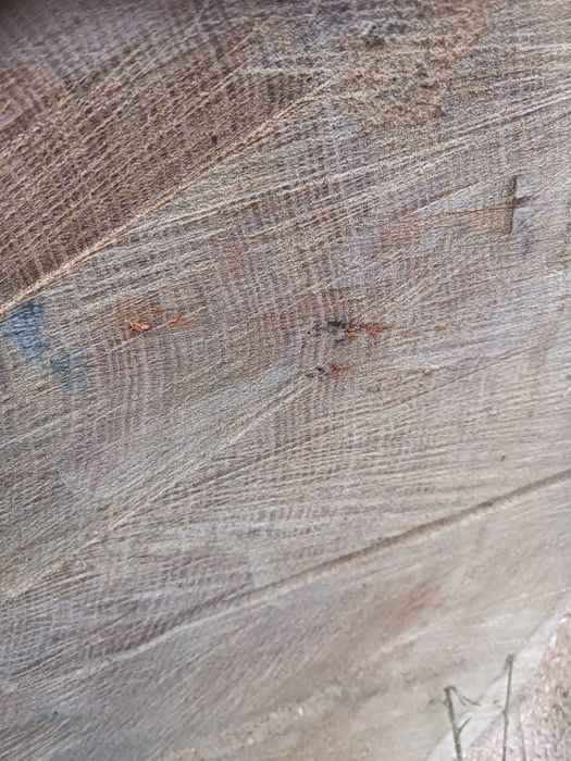Dęby Kłody Dębowe Tartaczne Stolarskie