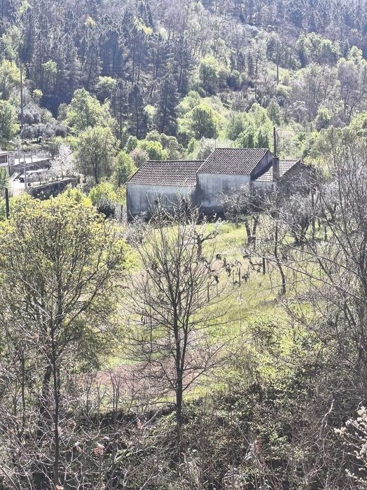 Quinta com casa pra reconstruir