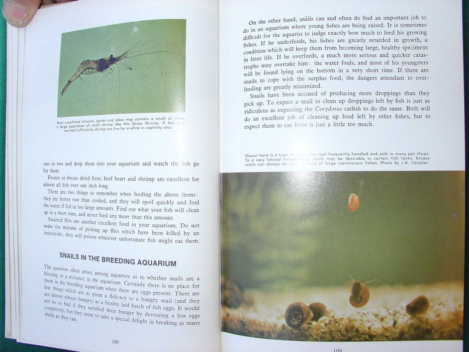 Enciclopedia of Tropical Fishes