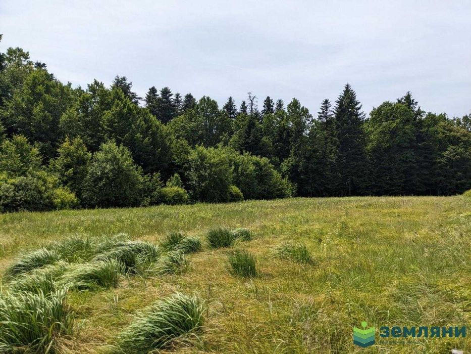 Продаж ділянки із виходом у ліс в с. Нова Гута (8)