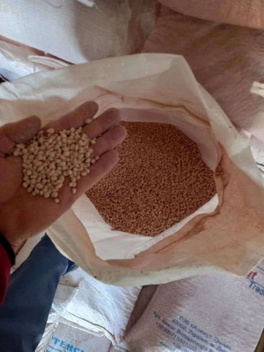 Селітра. Нітроамофоска. Мінеральні добрива.