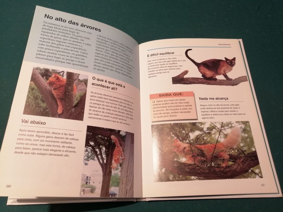 Livro “O Que É Que o Meu Gato Está a Pensar?”