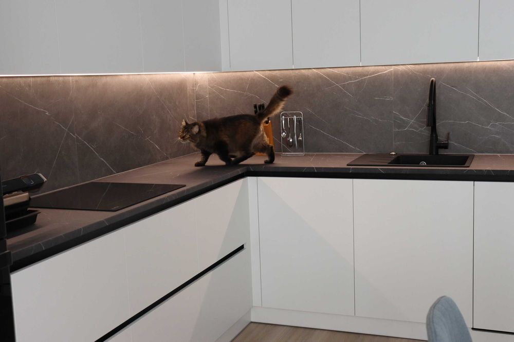 Замовити кухню на замовлення Бровари. Покупка частинами Моно Банк