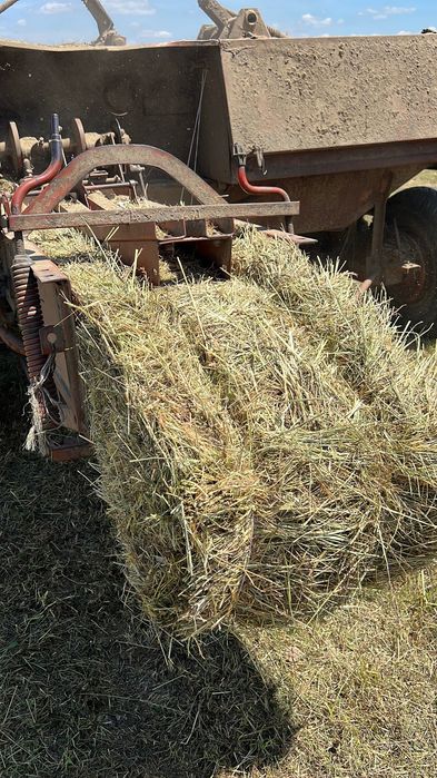 Тюки - сіно, продаж…