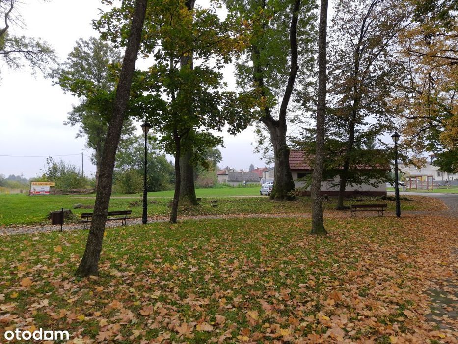 Dom do kapitalnego remontu. Obok jezioro, park, przystanek, sklepy