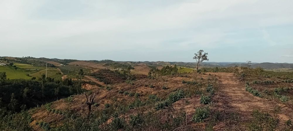 Terreno rustico a 20 kms de Monchique!