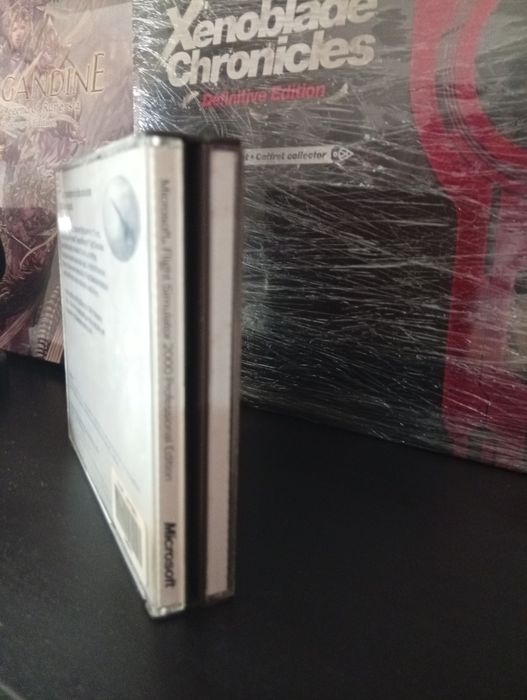 Flight simulator 2000 professional edition