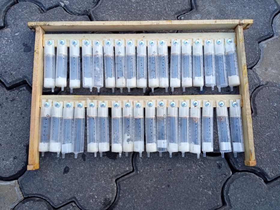 Прививочная рамка, бигуди для вывода пчелиных маток