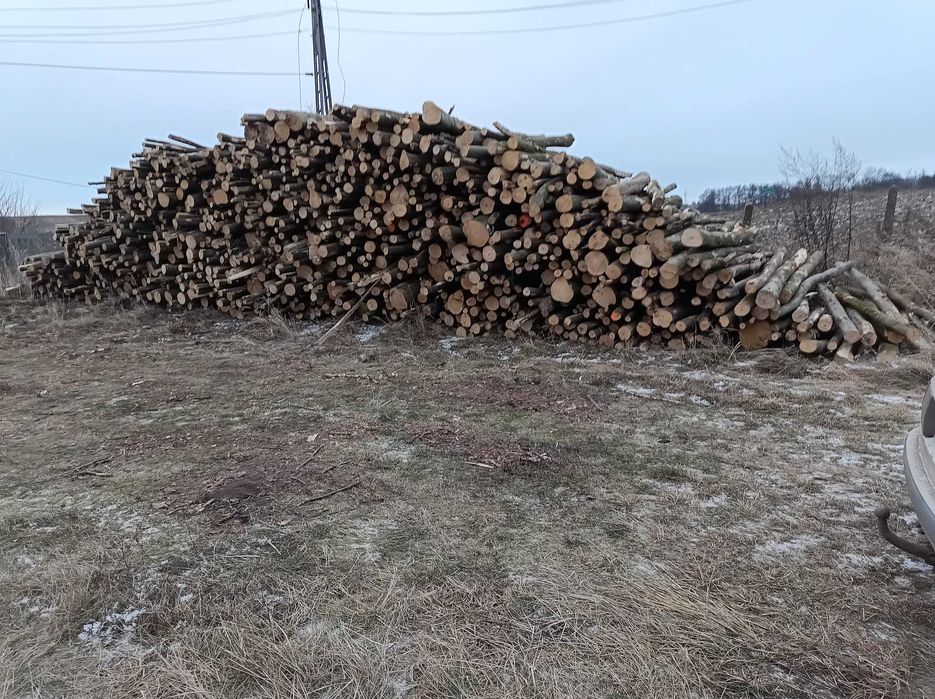 Drewno twarde wałki buk, dąb , jesion