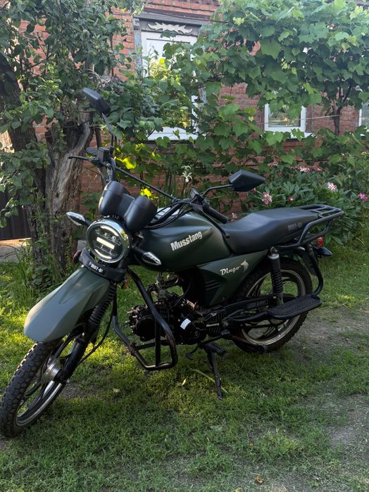 Musstang dingo 125