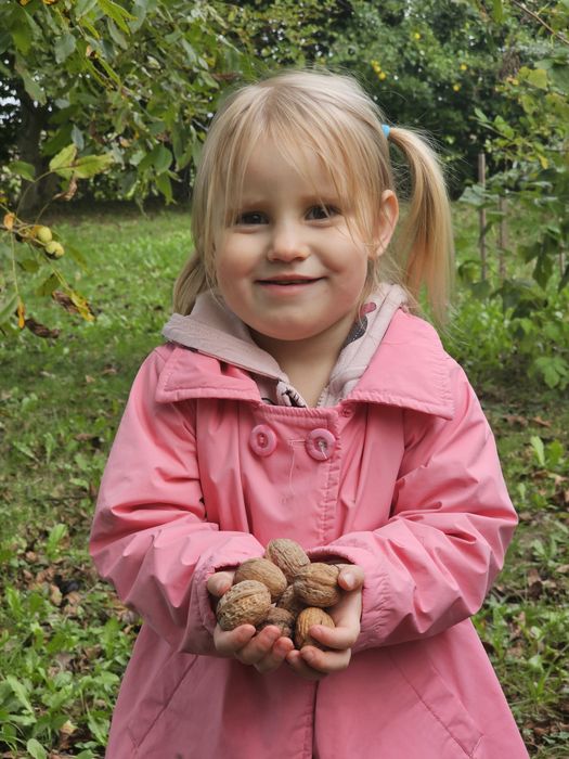 Orzechy włoskie tego roczne OSTATNIE około 100kg