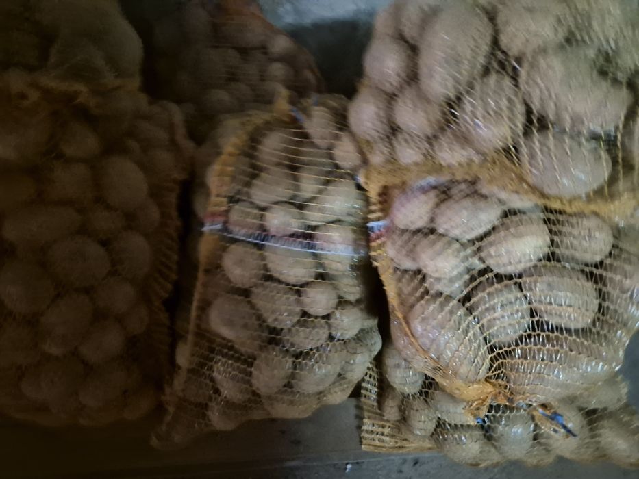 Ziemniaki/Cebula/Buraczki