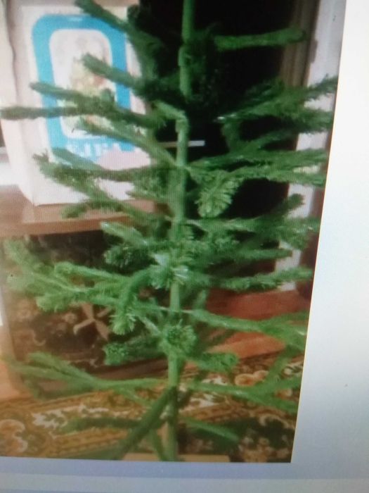 мото синий и велик