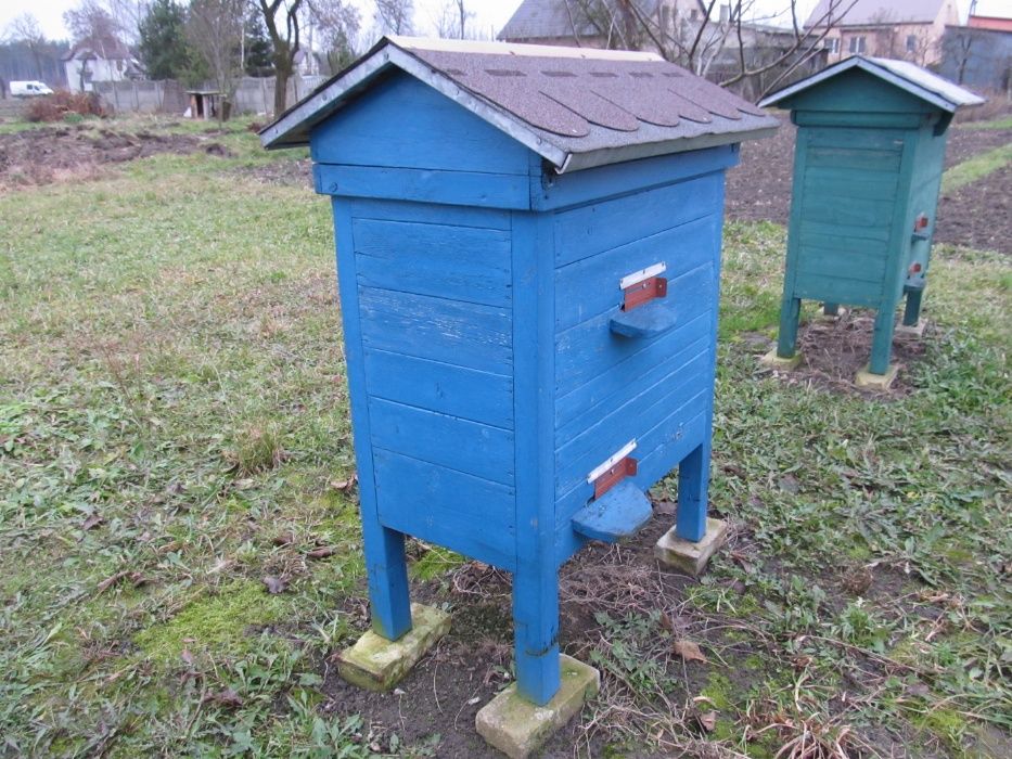 Rodziny pszczele na ramkach różnych sprzedam