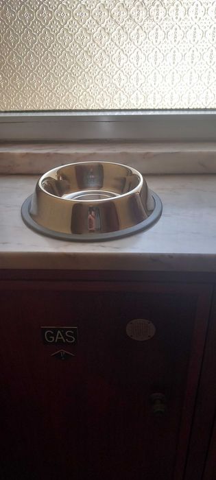 Kit Pet para Cão de Porte Médio