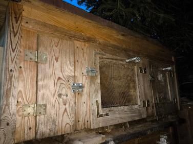 Sprzedam klatki na krówliki