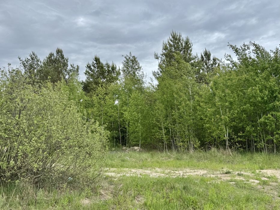 Земельна ділянка 1,5 га!!! Пилиповичі