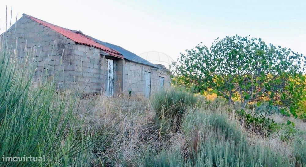 Quinta  para venda — Pedrógão De São Pedro E Bemposta, Castelo Branco