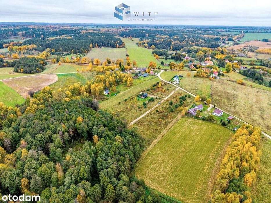 3263 m² | WZ | Blisko jeziora Dąbrowa Wielka