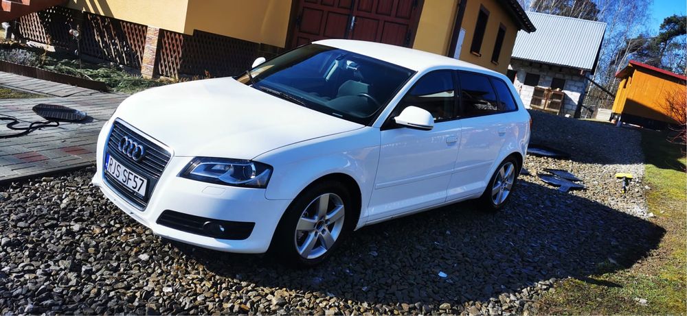 Audi A3 8P Sportbeck