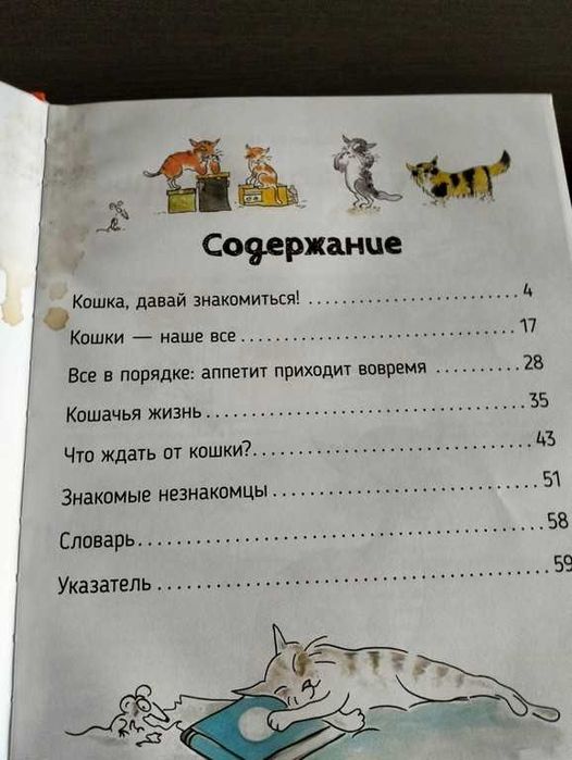 Кішки. Про що кажуть тварини. Секретна енциклопедія