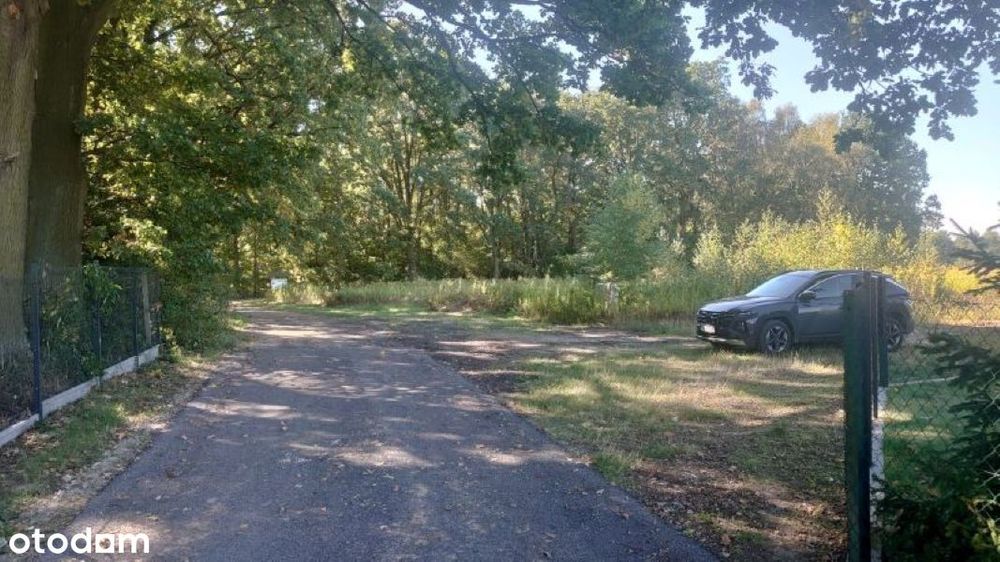 Działka, Piszkawa - Widok 3