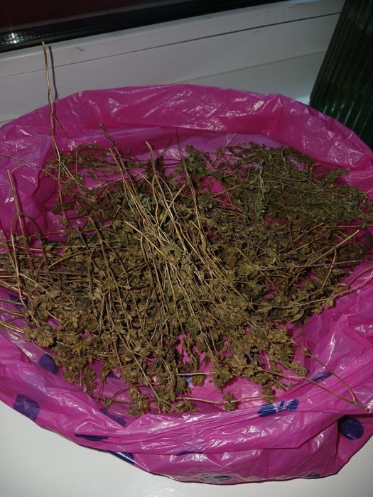 Сушений естрагон (тархун)